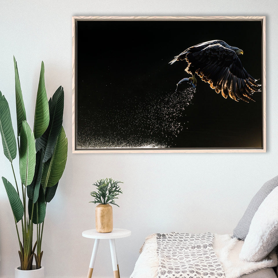 Eagles Hunting Fish, Framed Canvas Prints Wall Art Home Decor,Floating Frame, Ready to Hang