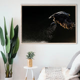 Eagles Hunting Fish, Framed Canvas Prints Wall Art Home Decor,Floating Frame, Ready to Hang