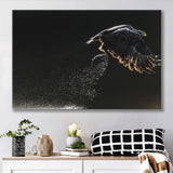 Eagles Hunting Fish, Canvas Prints Wall Art Home Decor