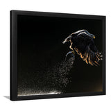 Eagles Hunting Fish, Framed Art Prints Wall Art Home Decor, Ready to Hang