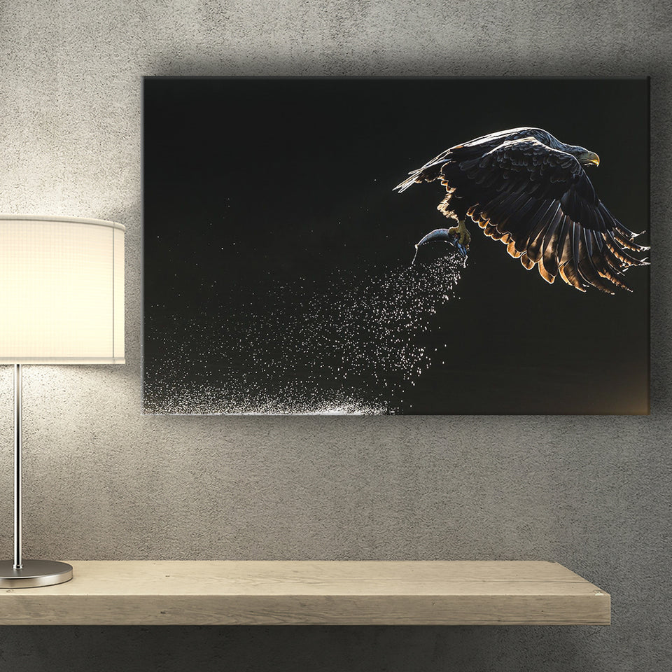 Eagles Hunting Fish, Canvas Prints Wall Art Home Decor