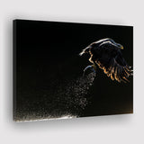 Eagles Hunting Fish, Canvas Prints Wall Art Home Decor