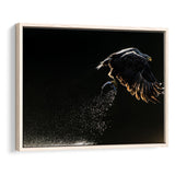 Eagles Hunting Fish, Framed Canvas Prints Wall Art Home Decor,Floating Frame, Ready to Hang