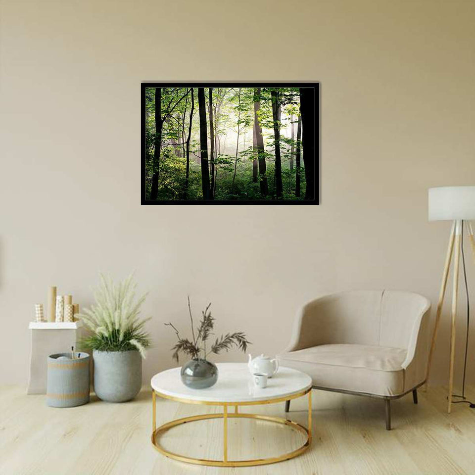 Early Morning-Forest art, Art print, Plexiglass Cover