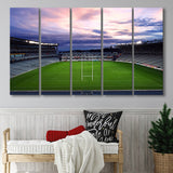 Eden Park Stadium, Stadium Canvas, Sport Art, Gift for him, Multi Panels B, Canvas Prints Wall Art Decor