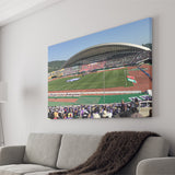 Edion Stadium Hiroshima, Stadium Canvas, Sport Art, Gift for him, Fan Gift, Canvas Prints Wall Art Decor