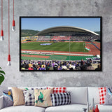 Edion Stadium Hiroshima, Stadium Canvas, Sport Art, Gift for him, Framed Art Prints Wall Art Decor, Framed Picture