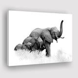 Elephant Family 2 Canvas Prints Wall Art Decor - Paiting Canvas, Art Prints, Wall Decor, For Sale