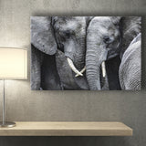 Elephant Family Black and White Canvas Prints Wall Art Decor - Paiting Canvas, Art Prints, Wall Decor, For Sale
