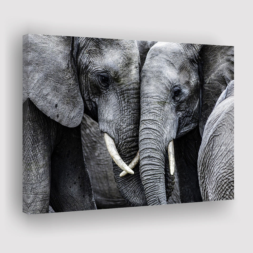 Elephant Family Black and White Canvas Prints Wall Art Decor - Paiting Canvas, Art Prints, Wall Decor, For Sale
