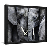 Elephant Family Black and White Framed Art Prints Wall Decor - Painting Prints, Framed Picture, Home Decor