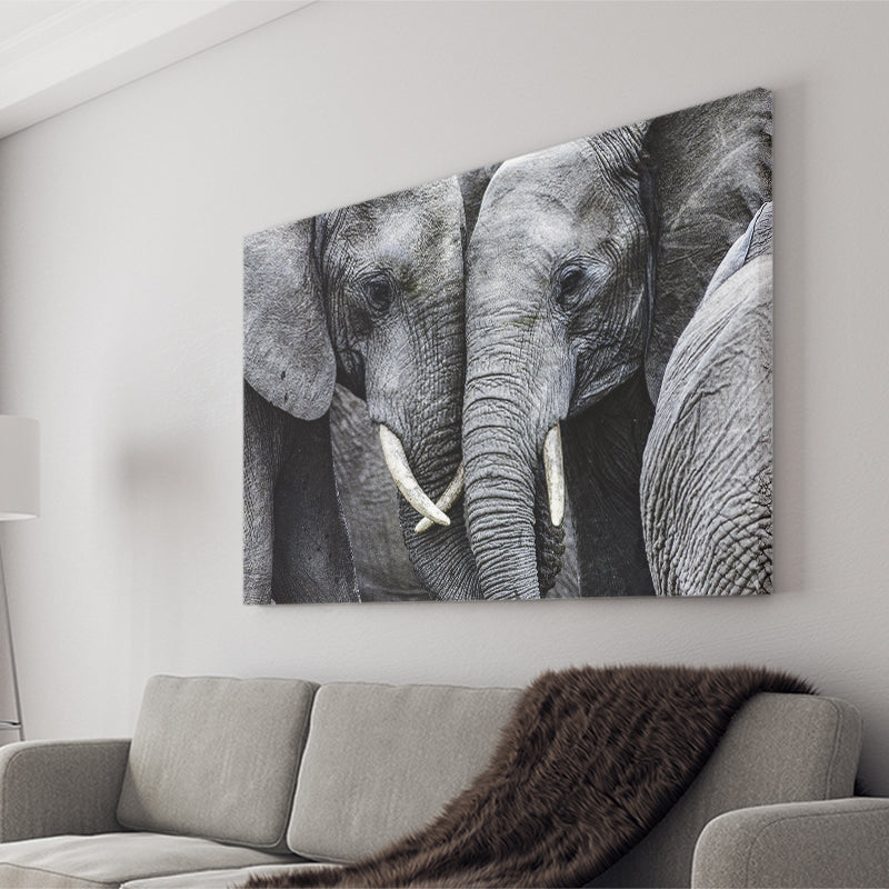 Elephant Family Black and White Canvas Prints Wall Art Decor - Paiting Canvas, Art Prints, Wall Decor, For Sale