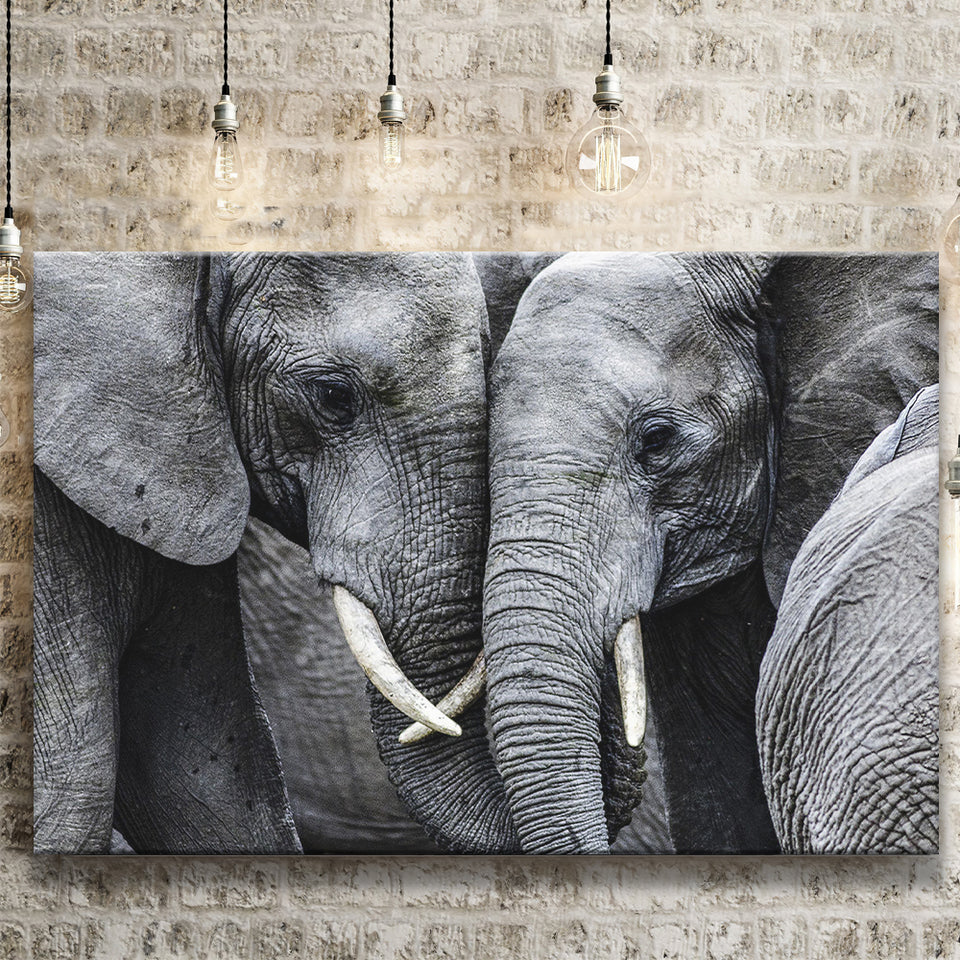 Elephant Family Black and White Canvas Prints Wall Art Decor - Paiting Canvas, Art Prints, Wall Decor, For Sale