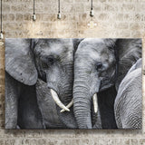 Elephant Family Black and White Canvas Prints Wall Art Decor - Paiting Canvas, Art Prints, Wall Decor, For Sale