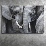Elephant Family Black and White Canvas Prints Wall Art Decor - Paiting Canvas, Art Prints, Wall Decor, For Sale