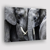 Elephant Family Black and White Canvas Prints Wall Art Decor - Paiting Canvas, Art Prints, Wall Decor, For Sale