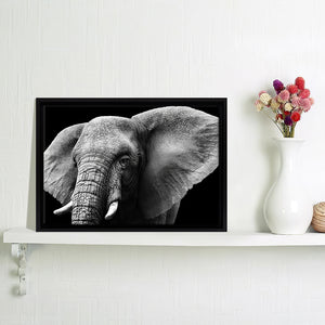 Elephant Head Isolated Canvas Wall Art - Framed Art, Prints For Sale, Painting For Sale, Framed Canvas, Painting Canvas