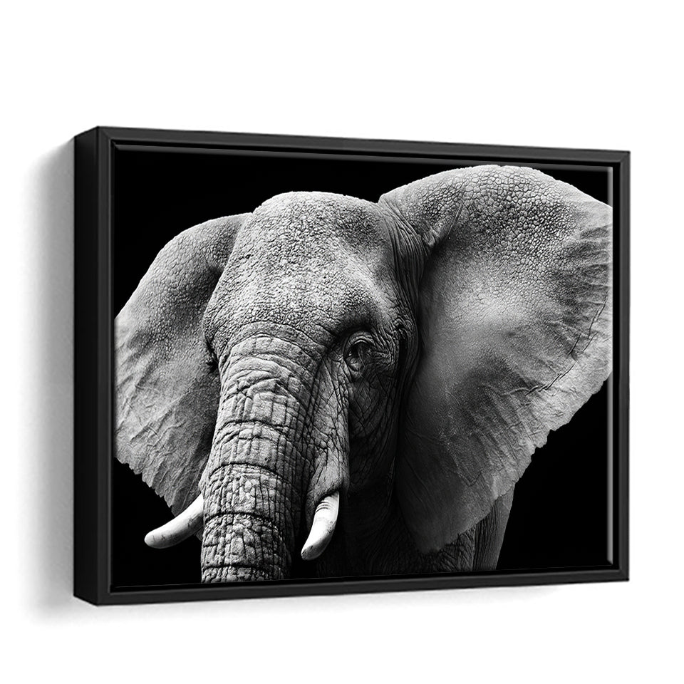 Elephant Head Isolated Canvas Wall Art - Framed Art, Prints For Sale, Painting For Sale, Framed Canvas, Painting Canvas