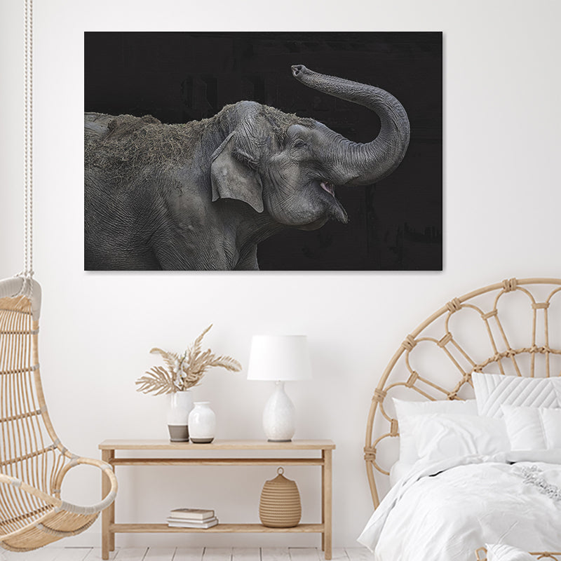 Elephant Playing Canvas Wall Art - Canvas Prints, Prints for Sale, Canvas Painting, Canvas On Sale