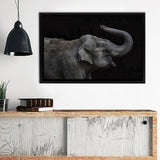 Elephant Playing Framed Canvas Wall Art - Framed Prints, Canvas Prints, Prints for Sale, Canvas Painting