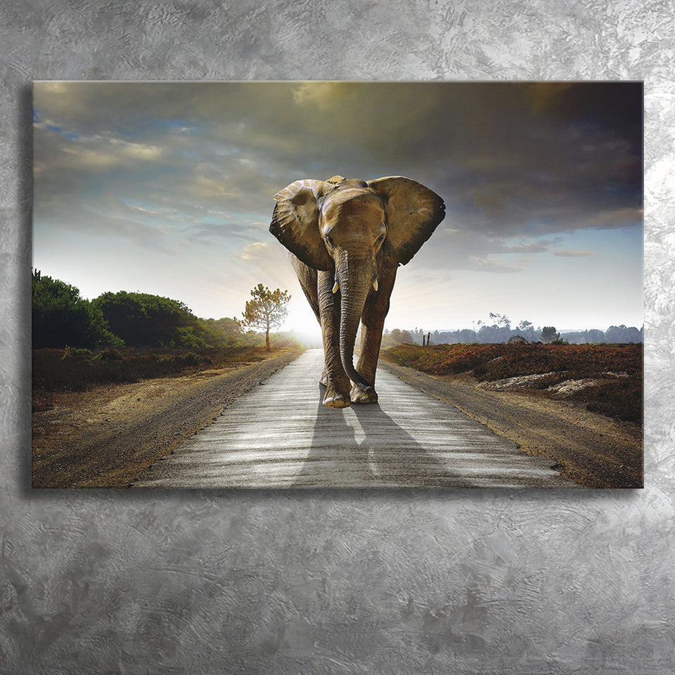 Elephant Stylish Canvas Prints Wall Art Decor - Paiting Canvas, Art Prints, Wall Decor, For Sale