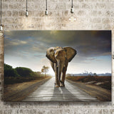 Elephant Stylish Canvas Prints Wall Art Decor - Paiting Canvas, Art Prints, Wall Decor, For Sale