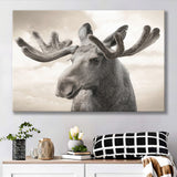 Elk Canvas Photo Print Canvas Prints Wall Art - Painting Canvas, Art Prints, Wall Decor