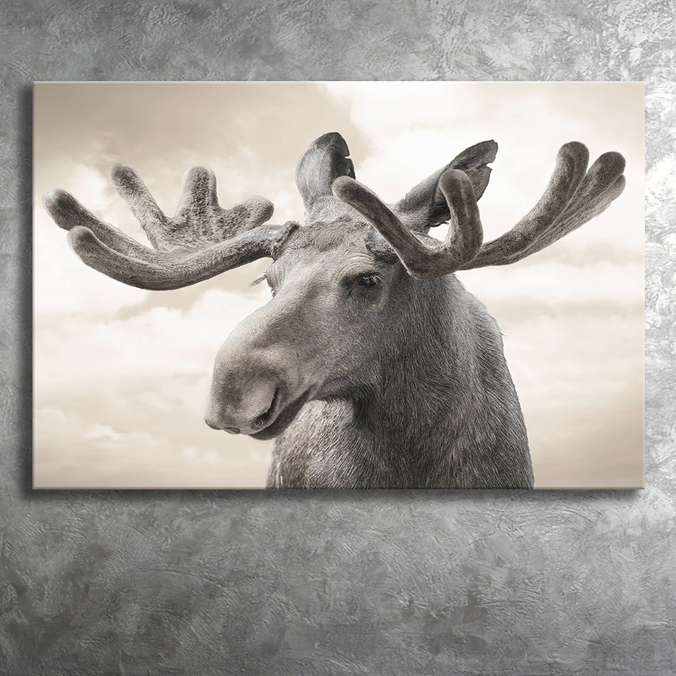 Elk Canvas Photo Print Canvas Prints Wall Art - Painting Canvas, Art Prints, Wall Decor