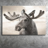 Elk Canvas Photo Print Canvas Prints Wall Art - Painting Canvas, Art Prints, Wall Decor