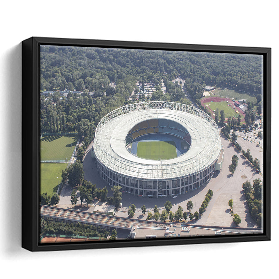 Ernst Happel Stadion Vienna, Stadium Canvas, Sport Art, Gift for him, Framed Canvas Prints Wall Art Decor, Framed Picture