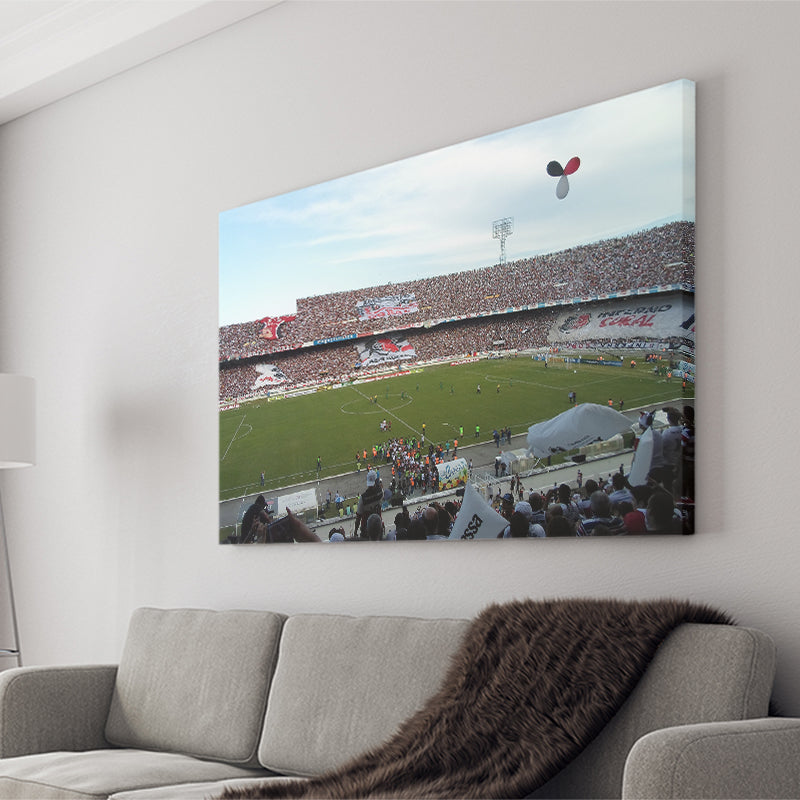 Estadio do Arruda, Stadium Canvas, Sport Art, Gift for him, Fan Gift, Canvas Prints Wall Art Decor