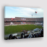Estadio do Arruda, Stadium Canvas, Sport Art, Gift for him, Fan Gift, Canvas Prints Wall Art Decor