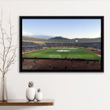 Estadio Ester Roa, Stadium Canvas, Sport Art, Gift for him, Framed Canvas Prints Wall Art Decor, Framed Picture