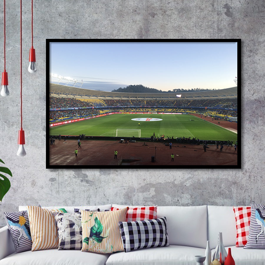 Estadio Ester Roa, Stadium Canvas, Sport Art, Gift for him, Framed Art Prints Wall Art Decor, Framed Picture