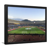 Estadio Ester Roa, Stadium Canvas, Sport Art, Gift for him, Framed Art Prints Wall Art Decor, Framed Picture