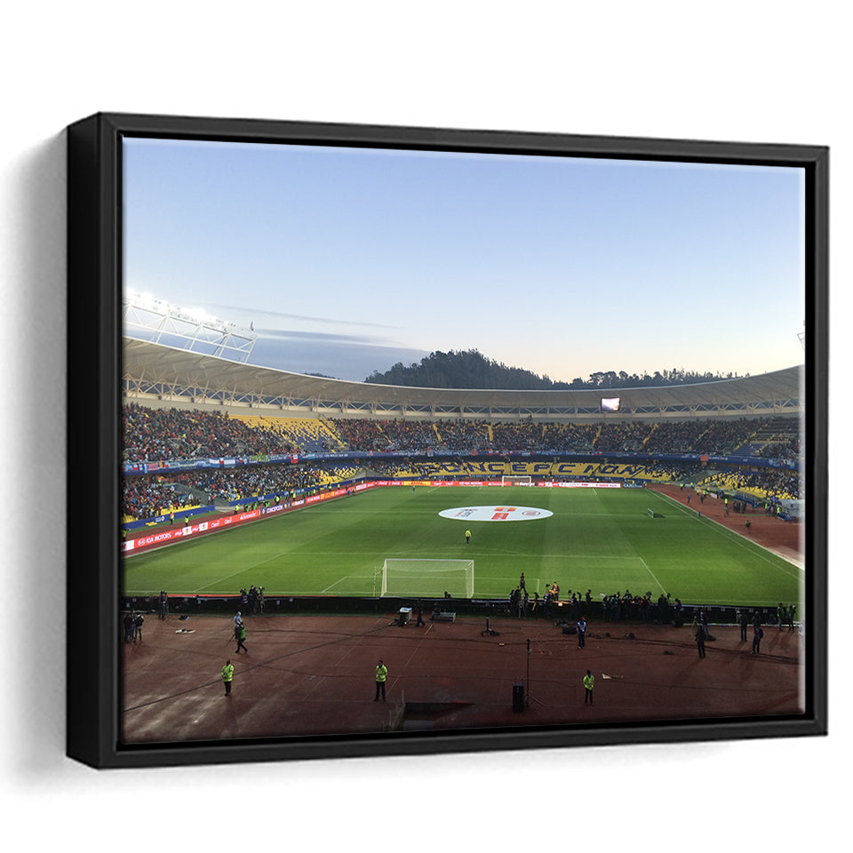 Estadio Ester Roa, Stadium Canvas, Sport Art, Gift for him, Framed Canvas Prints Wall Art Decor, Framed Picture