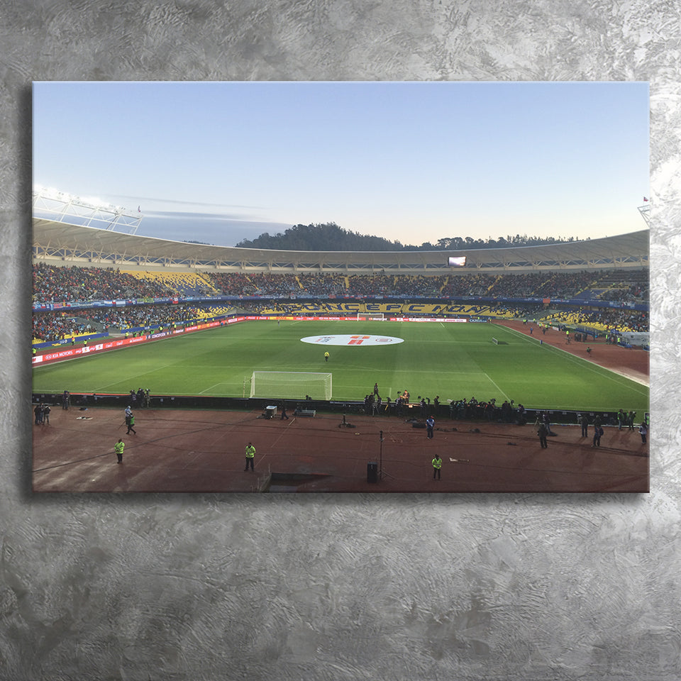 Estadio Ester Roa, Stadium Canvas, Sport Art, Gift for him, Fan Gift, Canvas Prints Wall Art Decor