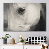 Eye White Horse Canvas Prints Wall Art Decor - Paiting Canvas, Art Prints, Wall Decor, For Sale