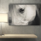 Eye White Horse Canvas Prints Wall Art Decor - Paiting Canvas, Art Prints, Wall Decor, For Sale