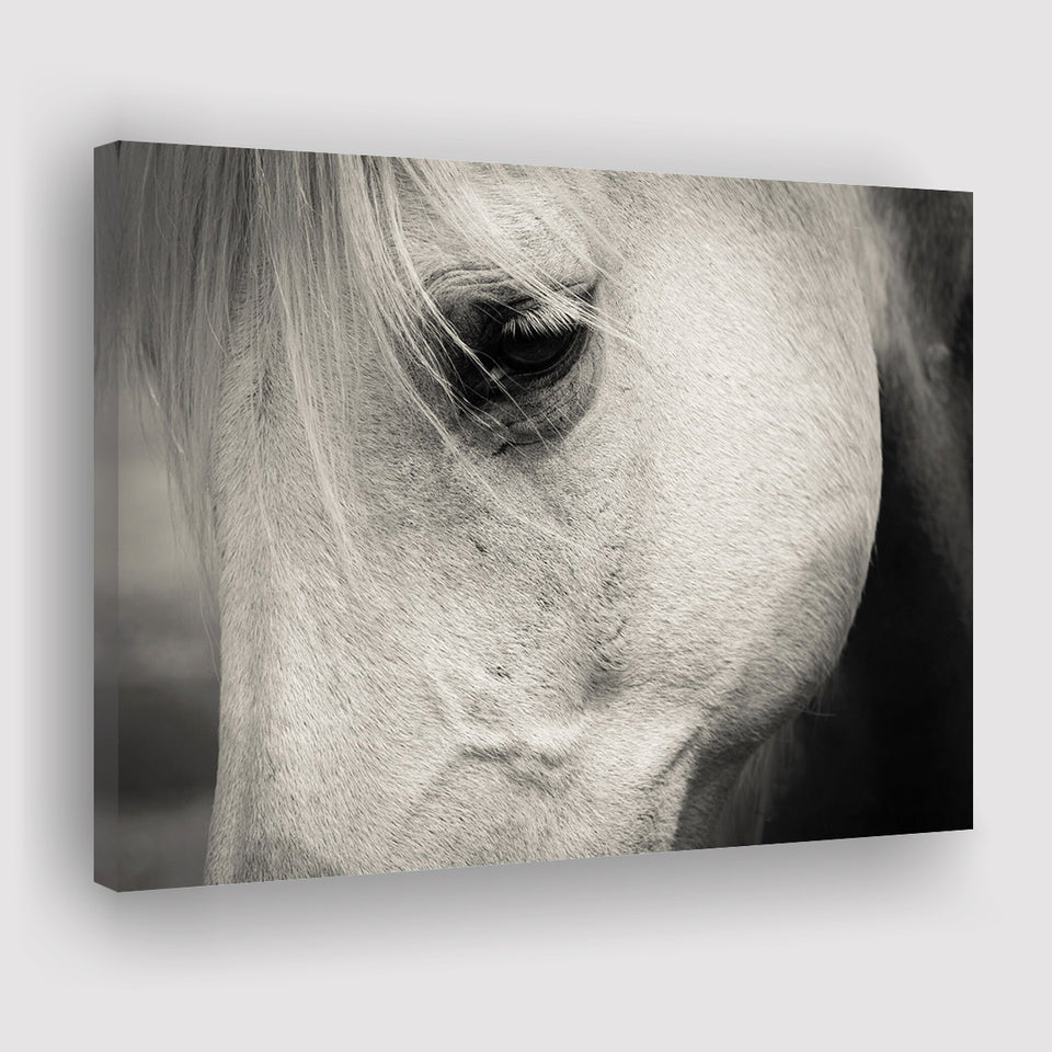 Eye White Horse Canvas Prints Wall Art Decor - Paiting Canvas, Art Prints, Wall Decor, For Sale