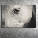 Eye White Horse Canvas Prints Wall Art Decor - Paiting Canvas, Art Prints, Wall Decor, For Sale