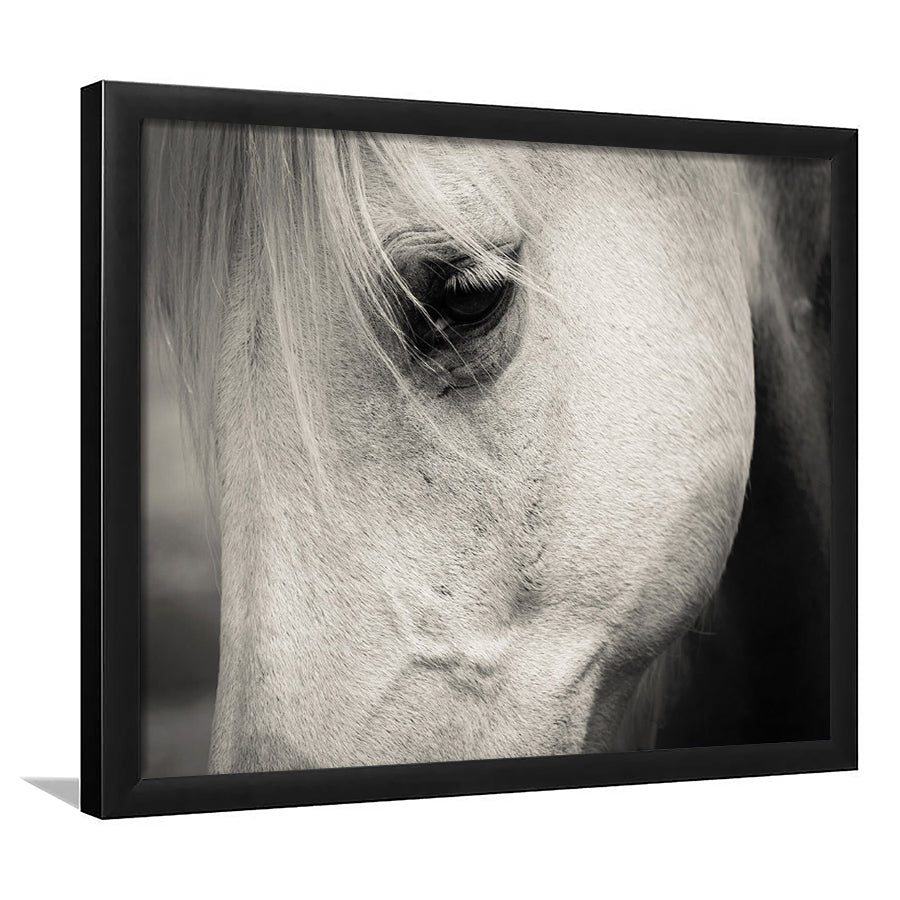 Eye White Horse Framed Art Prints Wall Decor - Painting Prints, Framed Picture, Home Decor