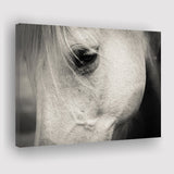 Eye White Horse Canvas Prints Wall Art Decor - Paiting Canvas, Art Prints, Wall Decor, For Sale