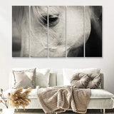 Eye White Horse 5 Piece B Canvas Prints Wall Art Decor - Painting Canvas, Multi Panels
