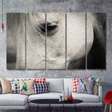 Eye White Horse 5 Piece B Canvas Prints Wall Art Decor - Painting Canvas, Multi Panels