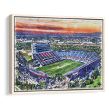 FAU Stadium Florida Atlantic Stadium Watercolor, Sport Art Prints Fan Gift, Framed Canvas Prints Wall Art Decor