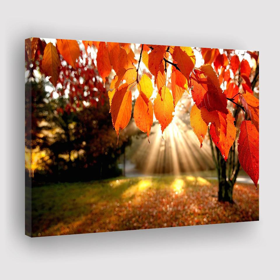 Fall Leaves Canvas  Canvas Prints Wall Art - Painting Canvas, Wall Decor, Canvas Art, For Sale