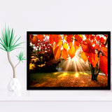 Fall Leaves Canvas  Framed Art Prints Wall Decor - Painting Prints, Wall Art, Framed Picture, Black Frame