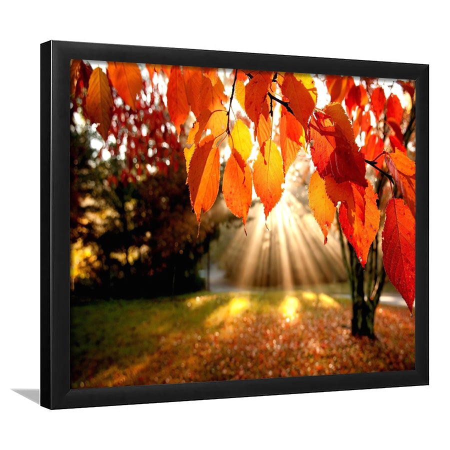 Fall Leaves Canvas  Framed Art Prints Wall Decor - Painting Prints, Wall Art, Framed Picture, Black Frame