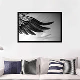 Feathers Closeup Back And White Framed Wall Art Print - Framed Art, Prints for Sale, Painting Art, Painting Prints